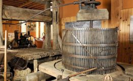 PERCHE PRESSOIR 606f01f2edbd5190719494 PERCHE PRESSOIR 606f01f2edbd5190719494
